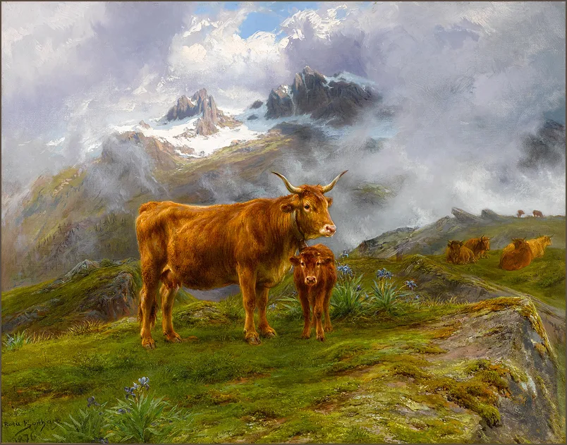 Бонёр — Хайлендский скот