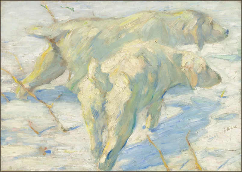 Марк — Сибирские собаки в снегу