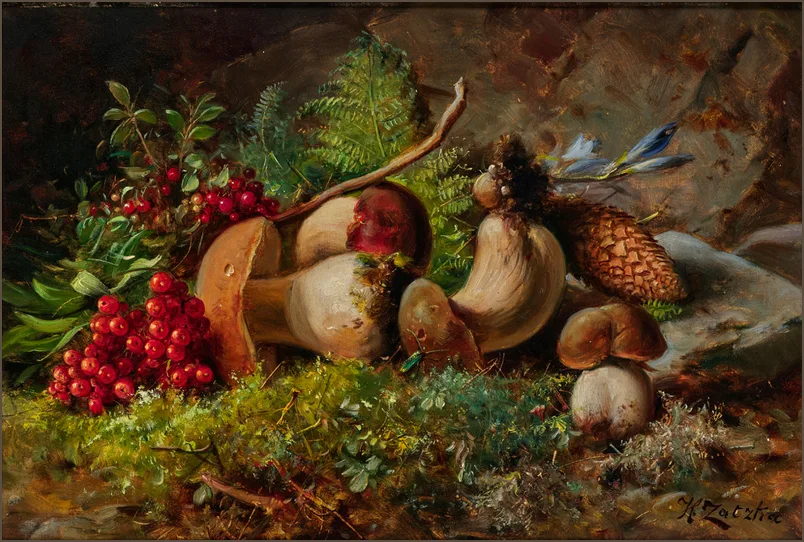Зацка — Мухоморы