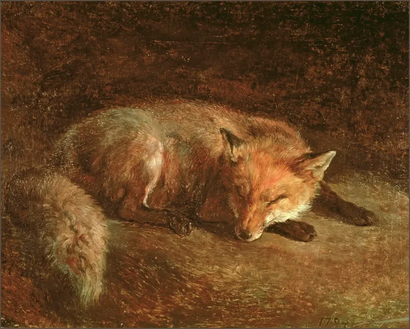 Агас — Спящая лиса